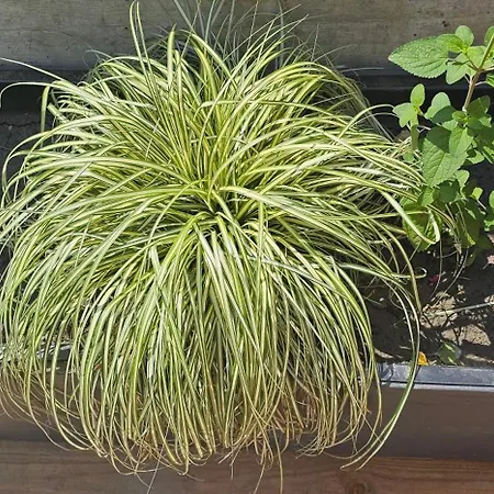 L'ostau 4 Etoiles Les Echappees Belles 公寓 *